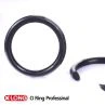Pfa Encapsulated Viton O Ring